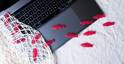 På fotot syns en laptop med små röda godisfiskar strödda över tangentbordet. Jämte datorn syns ett vitt nät.