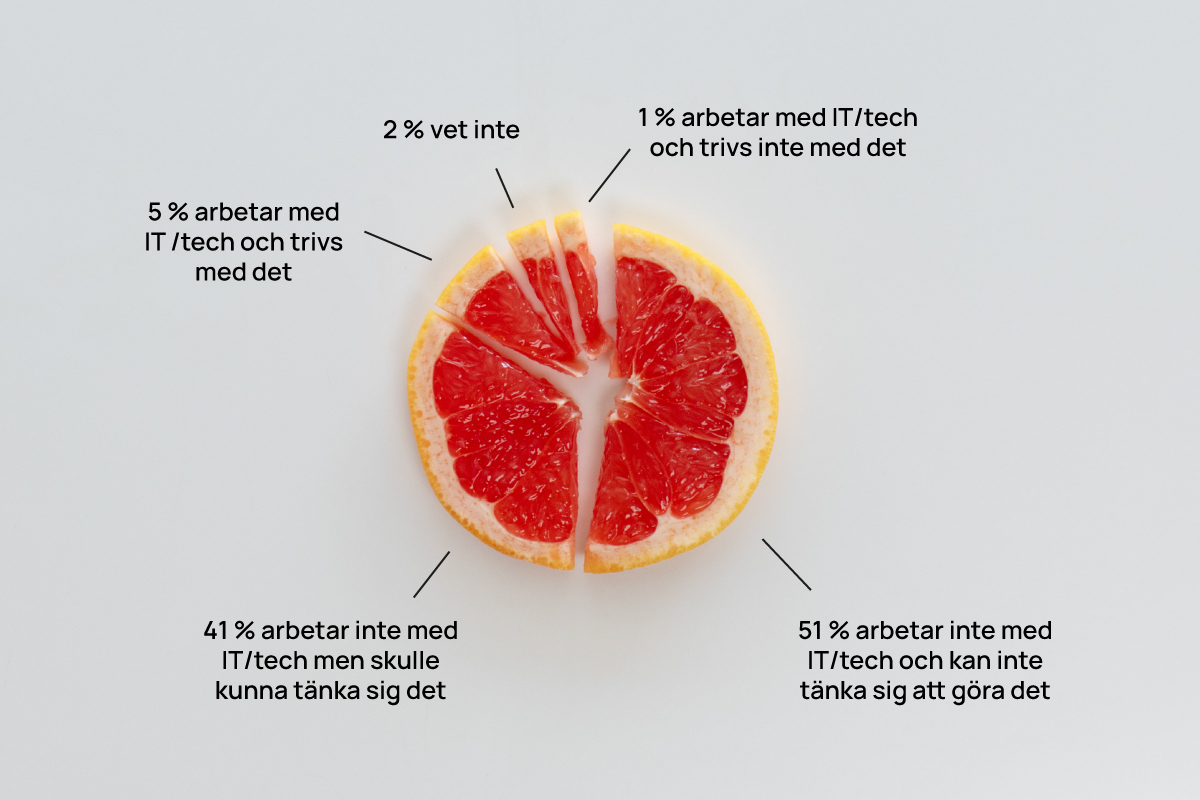 Statistik-unga-kvinnor-och-tech-1