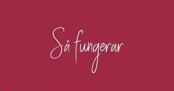 sa-fungerar-foretag